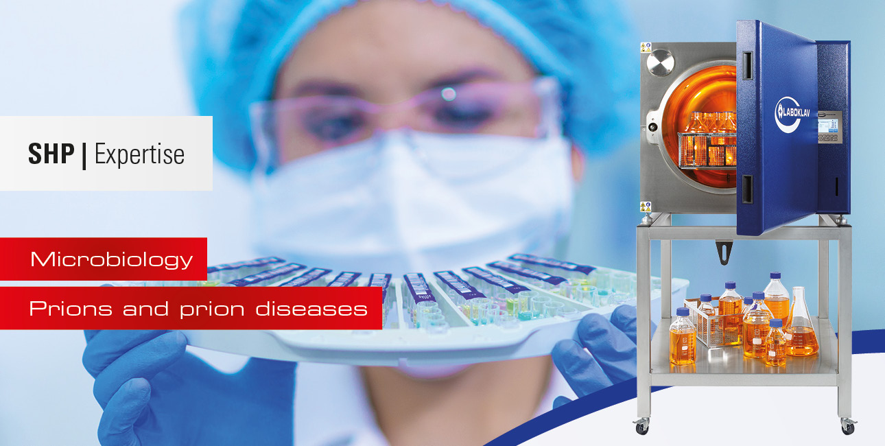 Prions and prion diseases